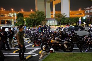 ドメスティックフライデー